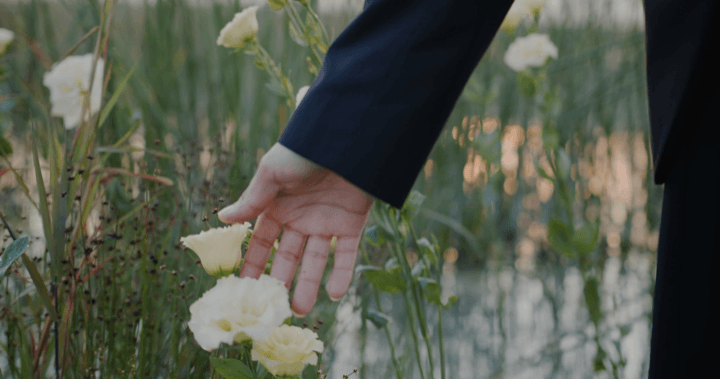 A hand reaching toward yellow flowers by the water