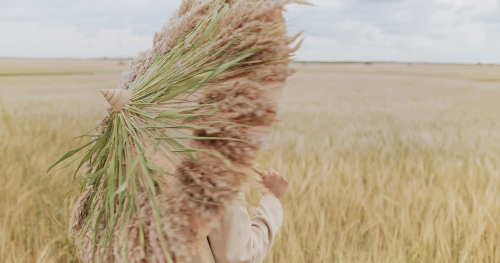 B-roll of a fashion shoot in a wheat field